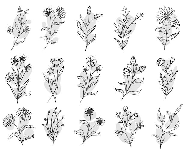 Free Vector | Set of botanical leaf doodle wildflower line art