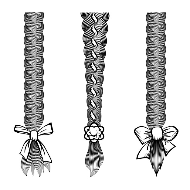 Plait and braids pattern brush set of braided ropes vector