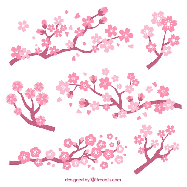 Free vector set of branches with cherry blossoms