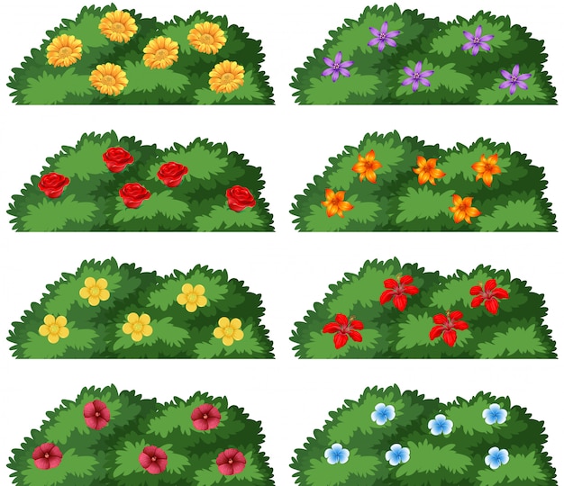 Free vector set of bushs with flowers