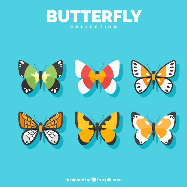 Set of butterflies in flat design