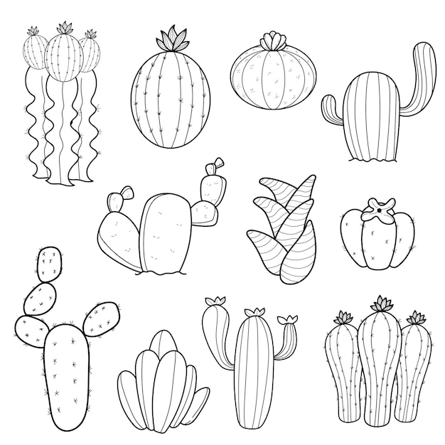 Free vector set of cactus cactus schedule line art doodle illustration