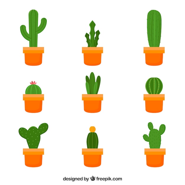 Set of cactus in flat design