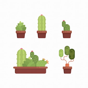 Set cactus succulent botanical greenery plants on pot collection illustrations