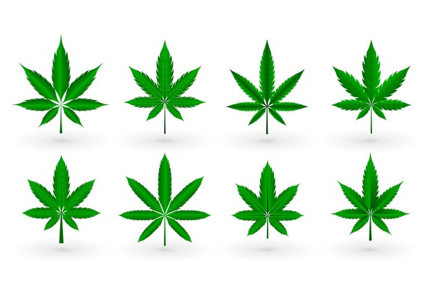 Set of cannabis marijuana weed leaves