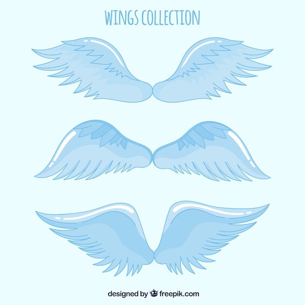 Free vector set of celestial hand drawn wings