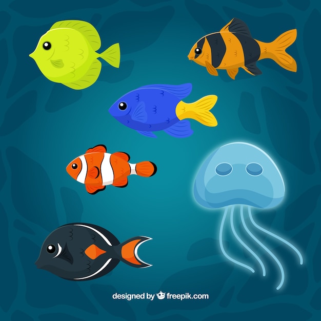 Set of colorful fishes in different species