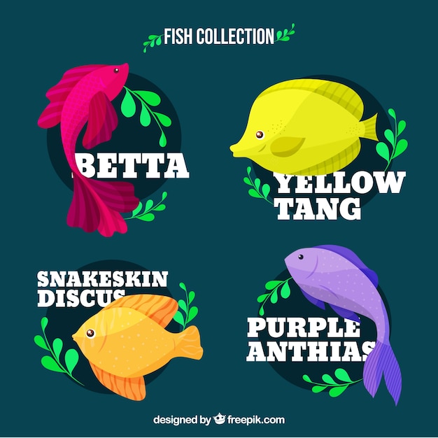 Vettore gratuito set di pesci colorati in diverse specie