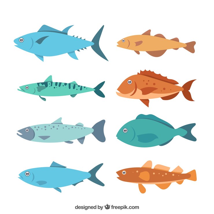 Free Vector set of colorful fishes in flat style