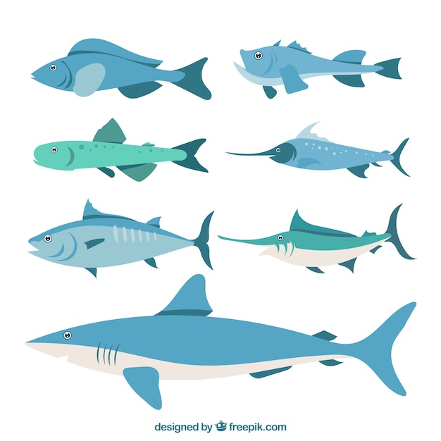 Free vector set of colorful fishes in flat style