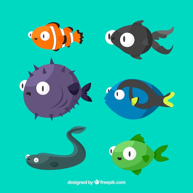 Free vector set of colorful fishes in flat style