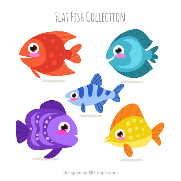 Free vector set of colorful fishes in flat style