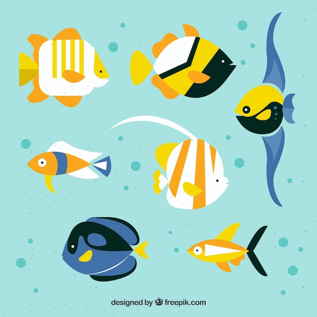 Set of colorful fishes in flat style