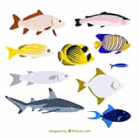 Free vector set of colorful fishes in flat style