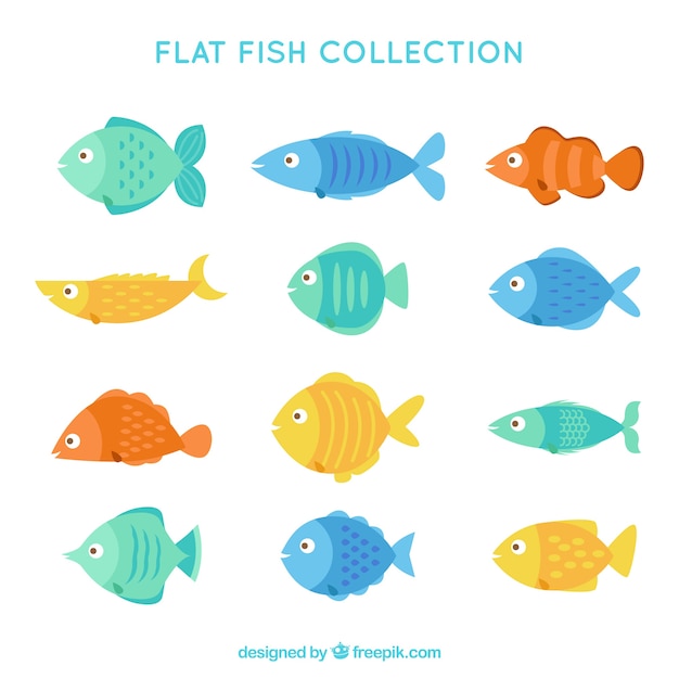 免费矢量组色彩斑斓的鱼类在平坦的风格