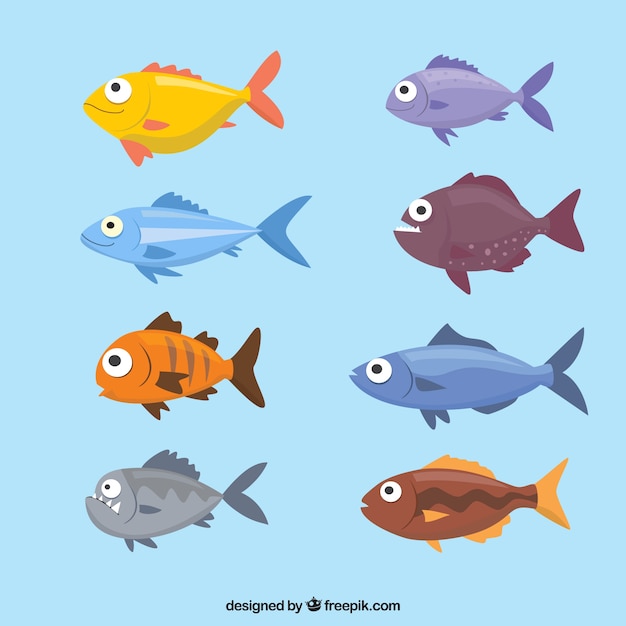 Set of colorful fishes in flat style