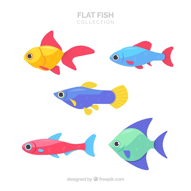 Set of colorful fishes in flat style