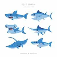 Free vector set of colorful fishes in flat style