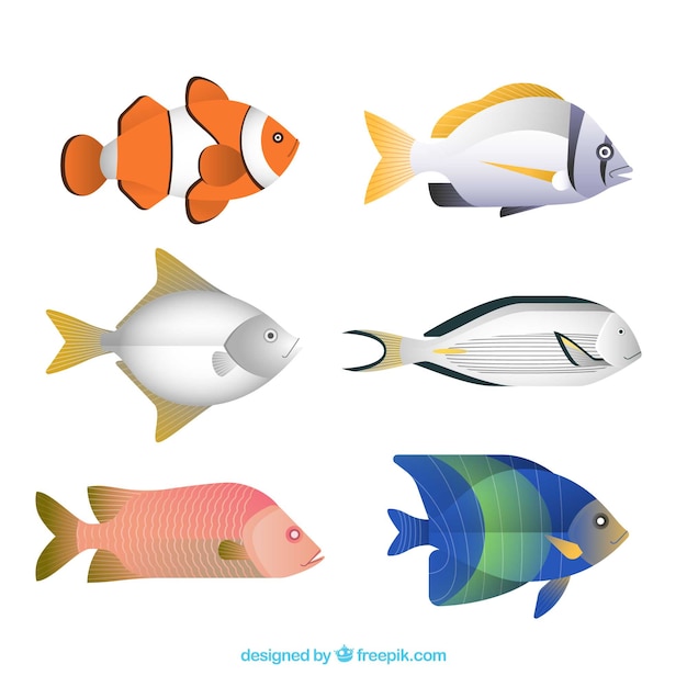 Set of colorful fishes in flat style