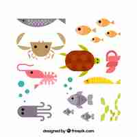 Free vector set of colorful fishes in flat style