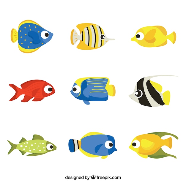 Set of colorful fishes in flat style