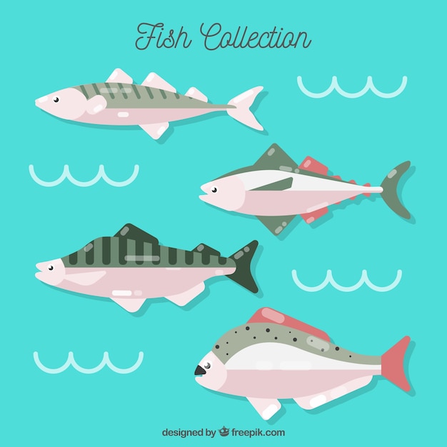 Set of colorful fishes in flat style