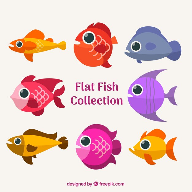 Set of colorful fishes in flat style