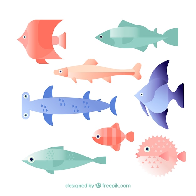 Free vector set of colorful fishes in flat style