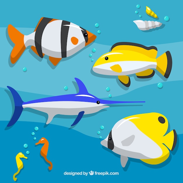 Set of colorful fishes in flat style
