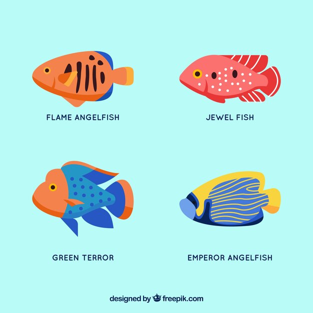 Set of colorful fishes in flat style