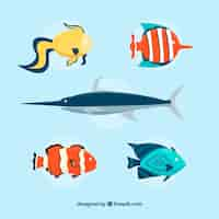 Free vector set of colorful fishes in flat style