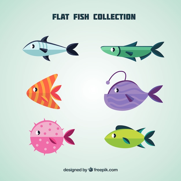 Free vector set of colorful fishes in flat style