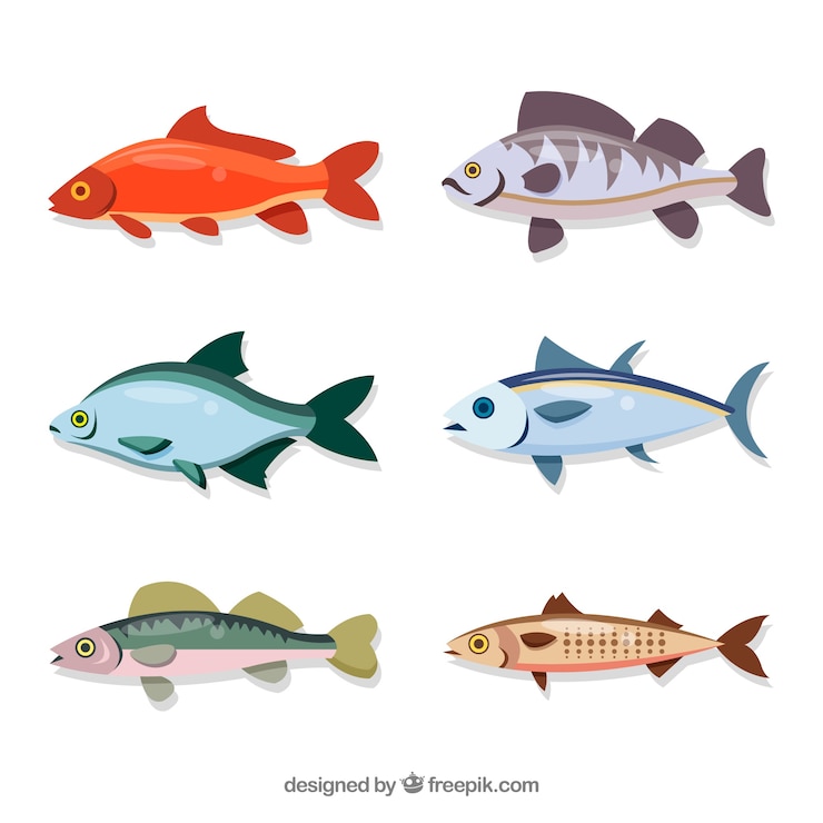 Free Vector set of colorful fishes in flat style