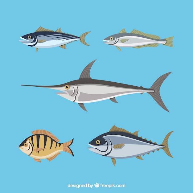 Free vector set of colorful fishes in hand drawn style