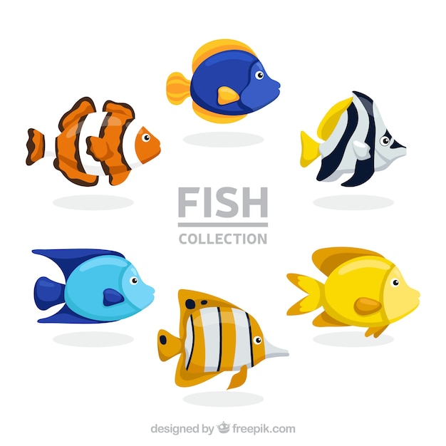 Set of colorful fishes in hand drawn style