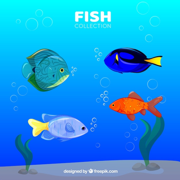 Free vector set of colorful fishes in hand drawn style