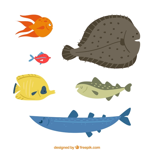 Free vector set of colorful fishes in hand drawn style