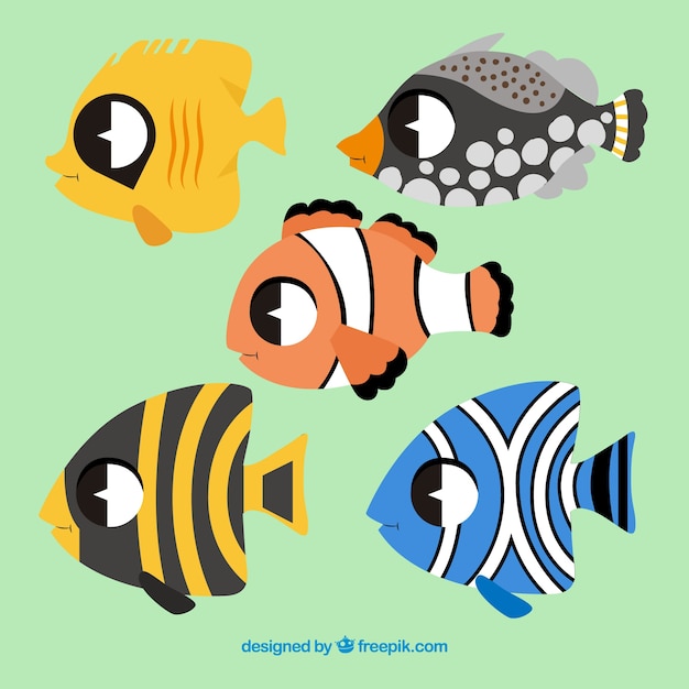 Set of colorful fishes in hand drawn style