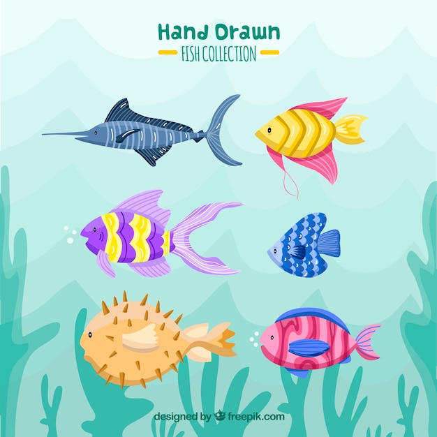 Set of colorful fishes in hand drawn style