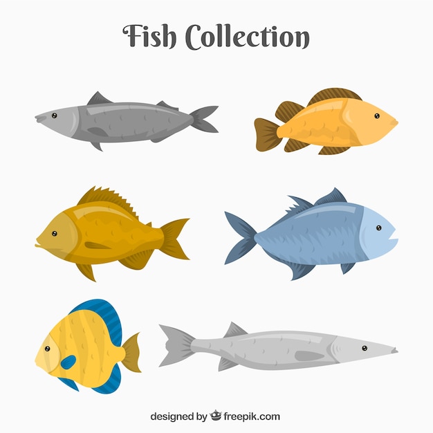 Vettore gratuito set di pesci colorati in mano disegnato stile
