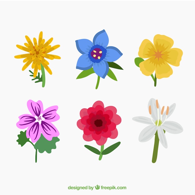 Set of colorful flowers in flat style