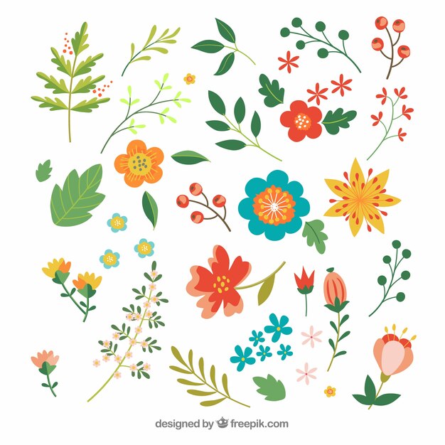 Set of colorful flowers in hand drawn style