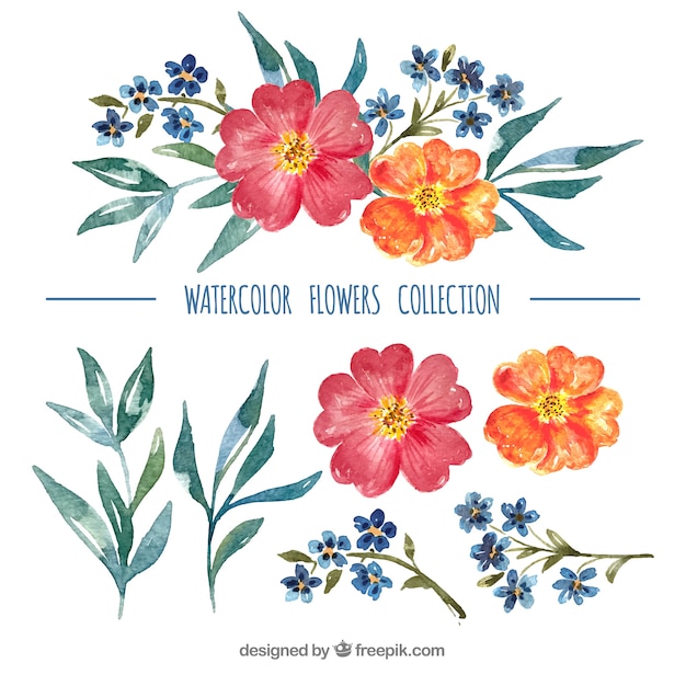 Set of colorful flowers in watecolor style