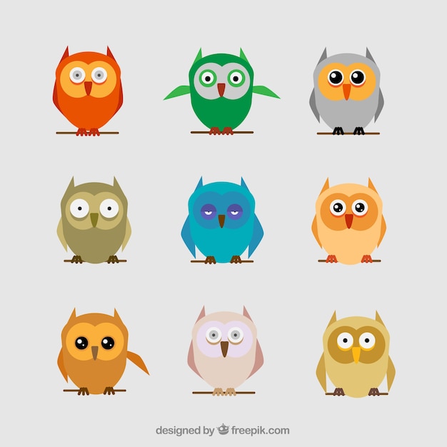 Set of colorful owls in flat design