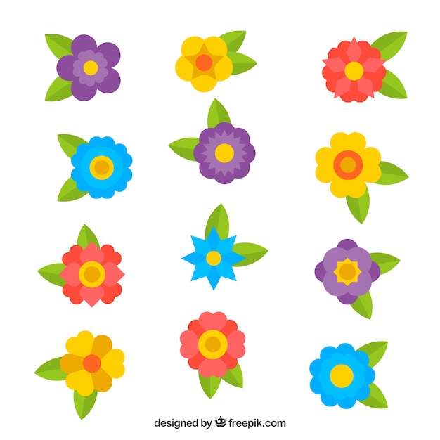 Set of colorful spring flowers