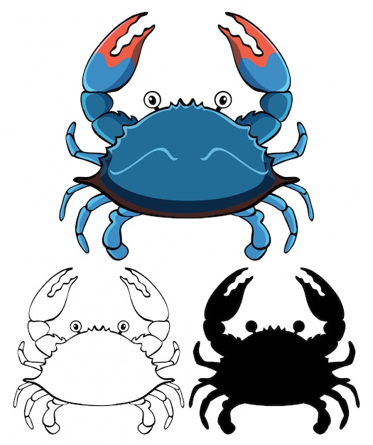 Set of crab cartoon