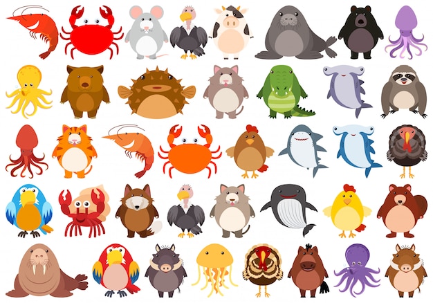 Free vector set of cute animal character