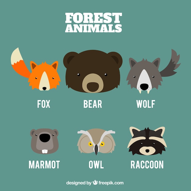 Free vector set of cute animal faces