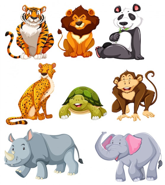 Free vector set of cute animals