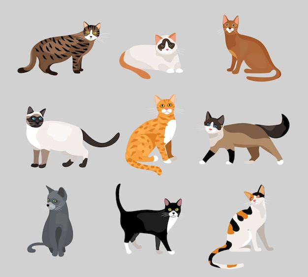 Set of cute cartoon kitties or cats with different colored fur\
and markings standing, sitting or walking